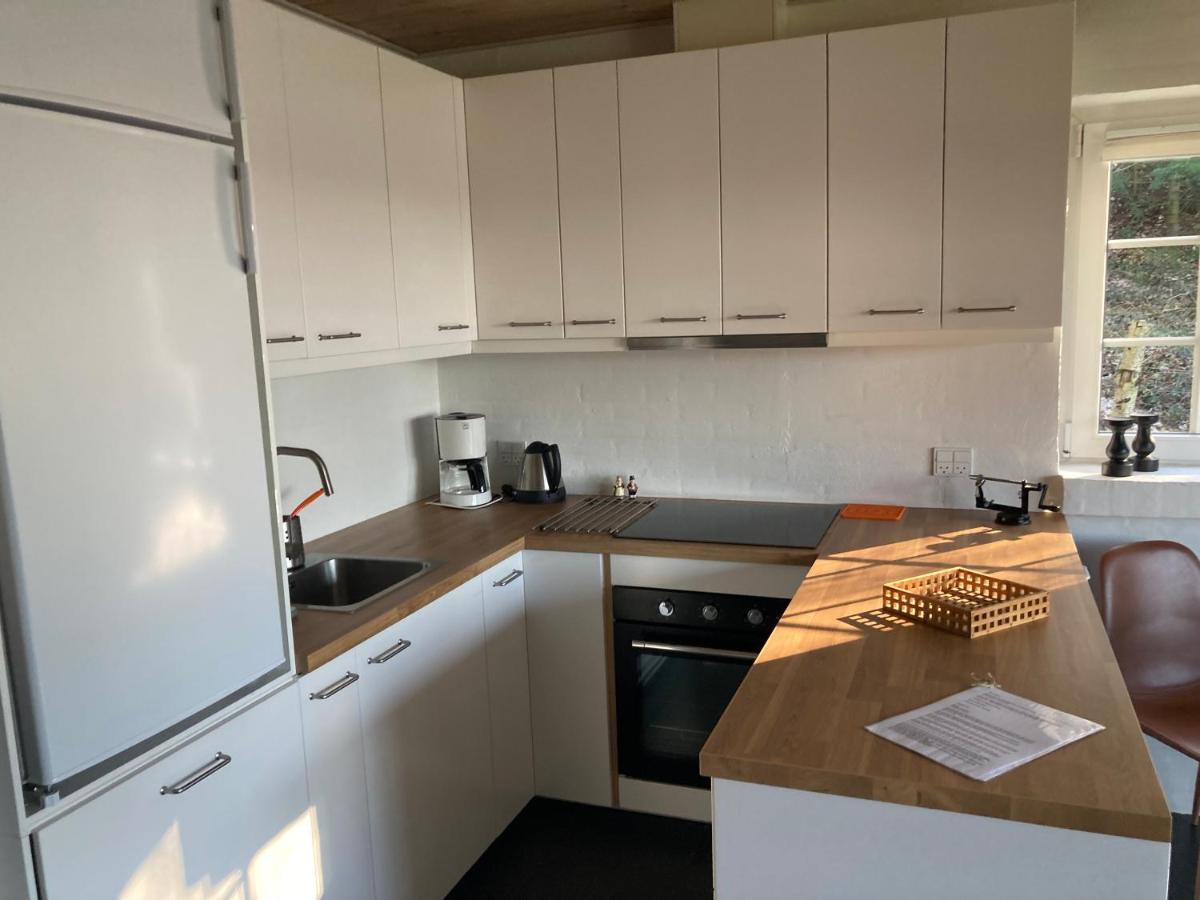 Hegedal Apartment ホーブロー エクステリア 写真