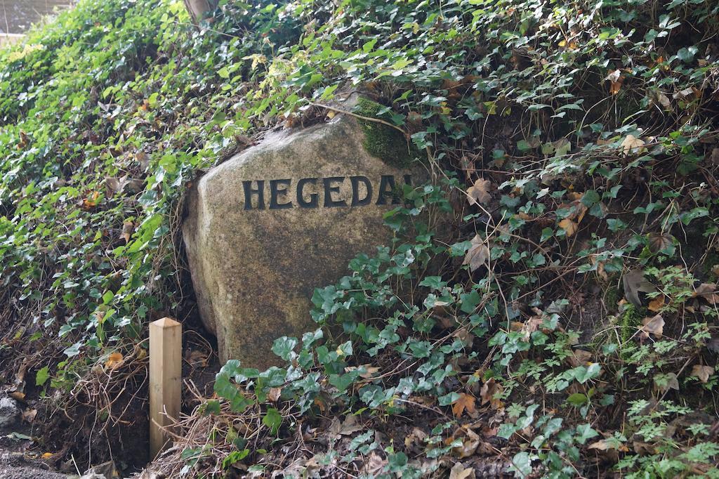 Hegedal Apartment ホーブロー 部屋 写真